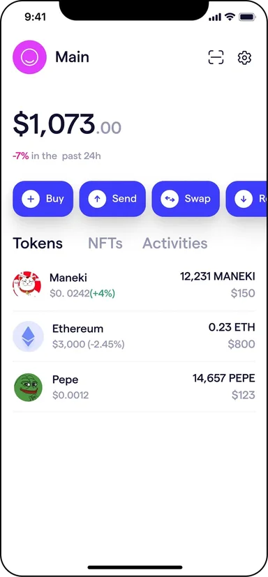 Wallet balance and token holdings